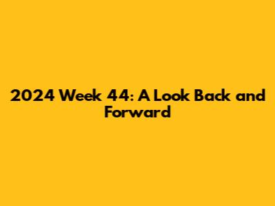 2024 Week 44: A Look Back and Forward