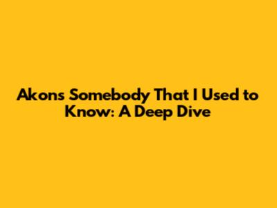Akon's "Somebody That I Used to Know": A Deep Dive