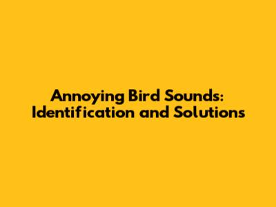 Annoying Bird Sounds: Identification and Solutions