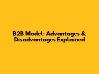 B2B Model: Advantages & Disadvantages Explained