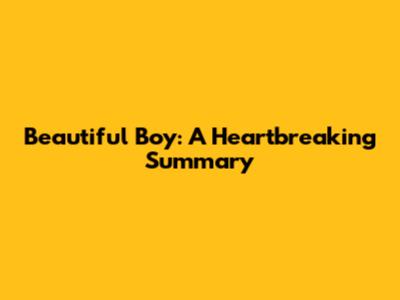Beautiful Boy: A Heartbreaking Summary