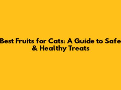 Best Fruits for Cats: A Guide to Safe & Healthy Treats