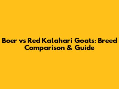 Boer vs Red Kalahari Goats: Breed Comparison & Guide
