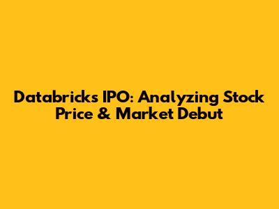 Databricks IPO: Analyzing Stock Price & Market Debut