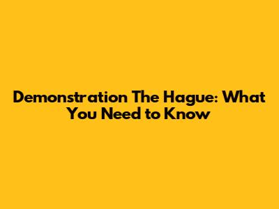 Demonstration The Hague: What You Need to Know