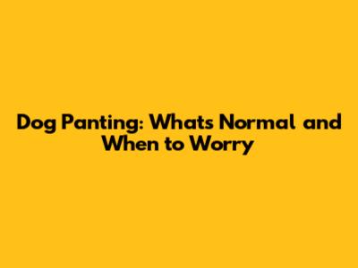 Dog Panting: What's Normal and When to Worry