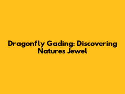 Dragonfly Gading: Discovering Nature's Jewel
