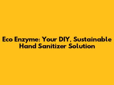 Eco Enzyme: Your DIY, Sustainable Hand Sanitizer Solution