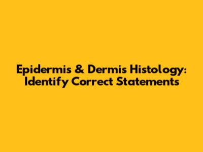 Epidermis & Dermis Histology: Identify Correct Statements