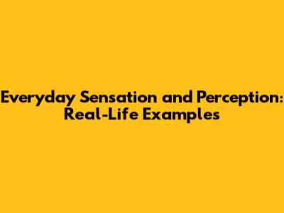 Everyday Sensation and Perception: Real-Life Examples