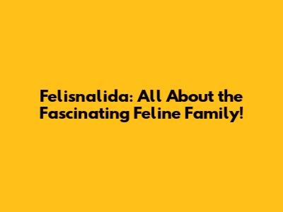 Felisnalida: All About the Fascinating Feline Family!