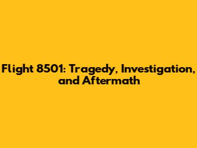 Flight 8501: Tragedy, Investigation, and Aftermath