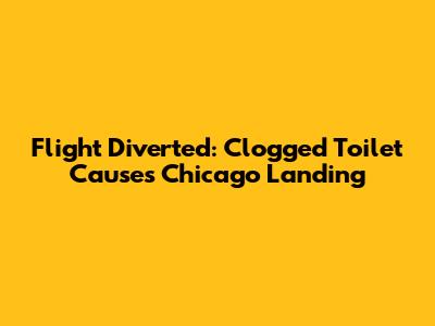 Flight Diverted: Clogged Toilet Causes Chicago Landing