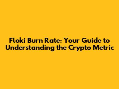 Floki Burn Rate: Your Guide to Understanding the Crypto Metric