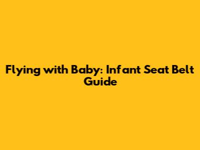 Flying with Baby: Infant Seat Belt Guide