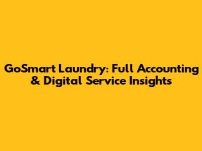 GoSmart Laundry: Full Accounting & Digital Service Insights