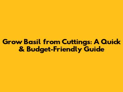 Grow Basil from Cuttings: A Quick & Budget-Friendly Guide