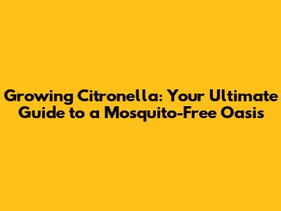 Growing Citronella: Your Ultimate Guide to a Mosquito-Free Oasis