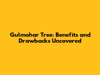 Gulmohar Tree: Benefits and Drawbacks Uncovered