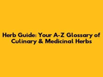 Herb Guide: Your A-Z Glossary of Culinary & Medicinal Herbs