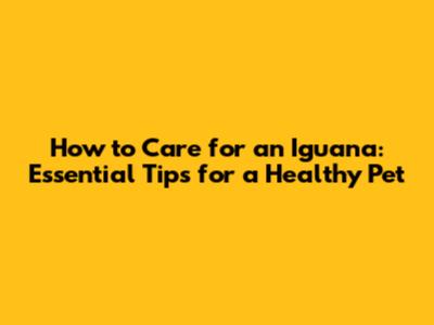 How to Care for an Iguana: Essential Tips for a Healthy Pet