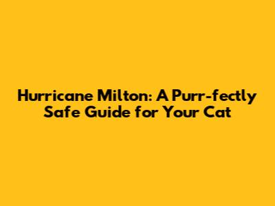 Hurricane Milton: A Purr-fectly Safe Guide for Your Cat