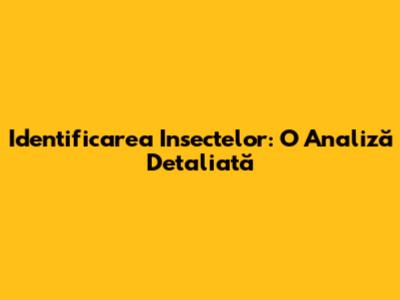 Identificarea Insectelor: O Analiză Detaliată