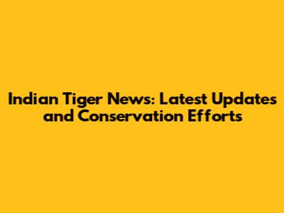 Indian Tiger News: Latest Updates and Conservation Efforts