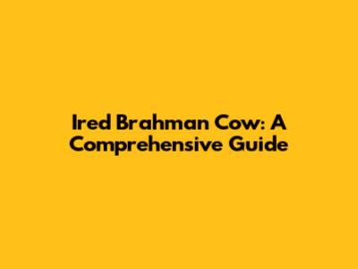 Ired Brahman Cow: A Comprehensive Guide