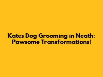Kate's Dog Grooming in Neath: Pawsome Transformations!