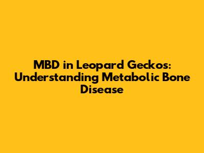 MBD in Leopard Geckos: Understanding Metabolic Bone Disease