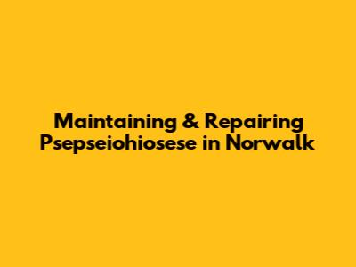 Maintaining & Repairing Psepseiohiosese in Norwalk
