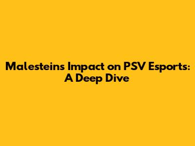 Malestein's Impact on PSV Esports: A Deep Dive