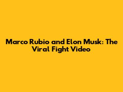Marco Rubio and Elon Musk: The Viral Fight Video