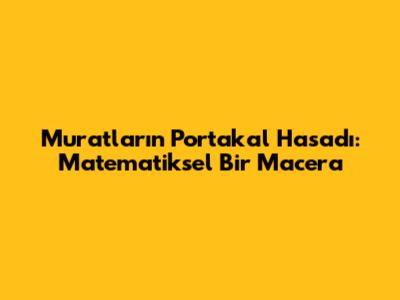 Muratların Portakal Hasadı: Matematiksel Bir Macera