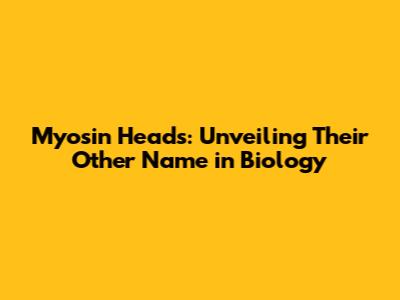 Myosin Heads: Unveiling Their Other Name in Biology