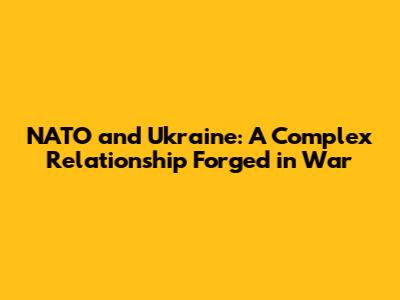 NATO and Ukraine: A Complex Relationship Forged in War