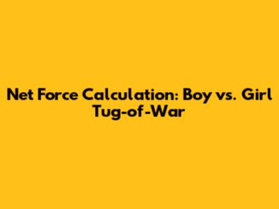 Net Force Calculation: Boy vs. Girl Tug-of-War
