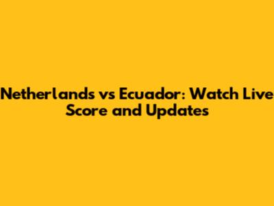 Netherlands vs Ecuador: Watch Live Score and Updates