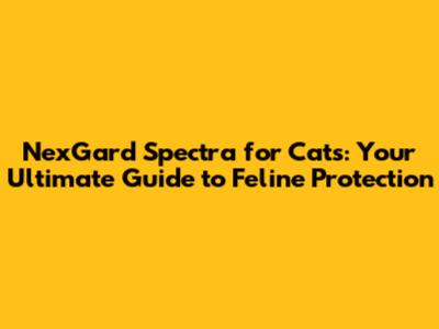 NexGard Spectra for Cats: Your Ultimate Guide to Feline Protection