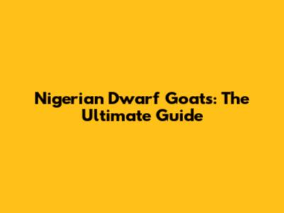 Nigerian Dwarf Goats: The Ultimate Guide