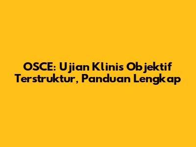 OSCE: Ujian Klinis Objektif Terstruktur, Panduan Lengkap