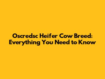 Oscredsc Heifer Cow Breed: Everything You Need to Know