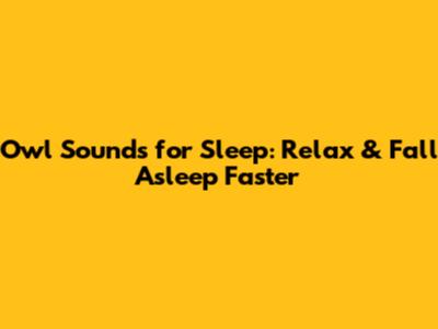 Owl Sounds for Sleep: Relax & Fall Asleep Faster