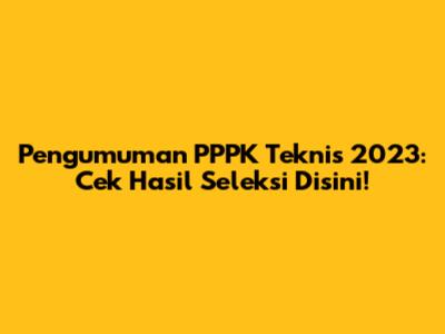 Pengumuman PPPK Teknis 2023: Cek Hasil Seleksi Disini!