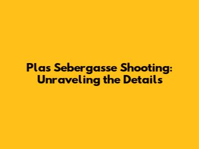 Plas Sebergasse Shooting: Unraveling the Details
