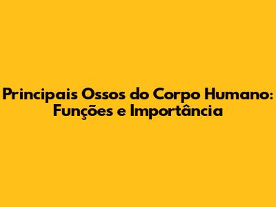 Principais Ossos do Corpo Humano: Funções e Importância