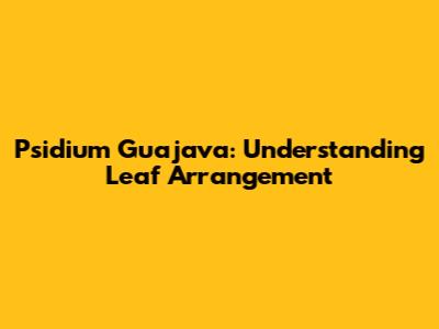 Psidium Guajava: Understanding Leaf Arrangement