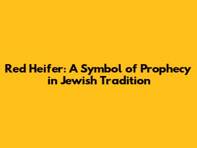 Red Heifer: A Symbol of Prophecy in Jewish Tradition
