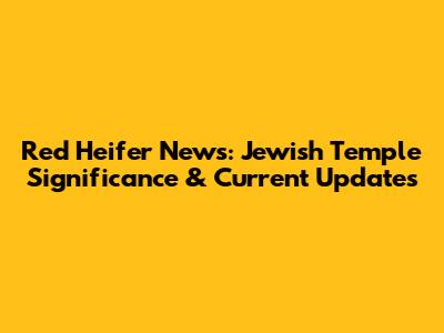 Red Heifer News: Jewish Temple Significance & Current Updates